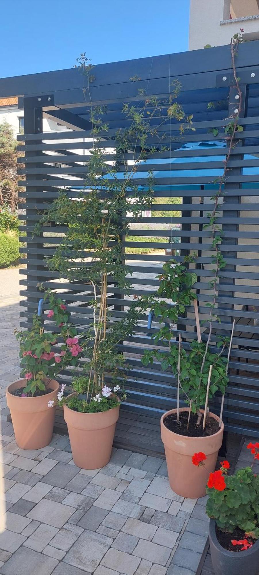באסקה Apartments Matea מראה חיצוני תמונה