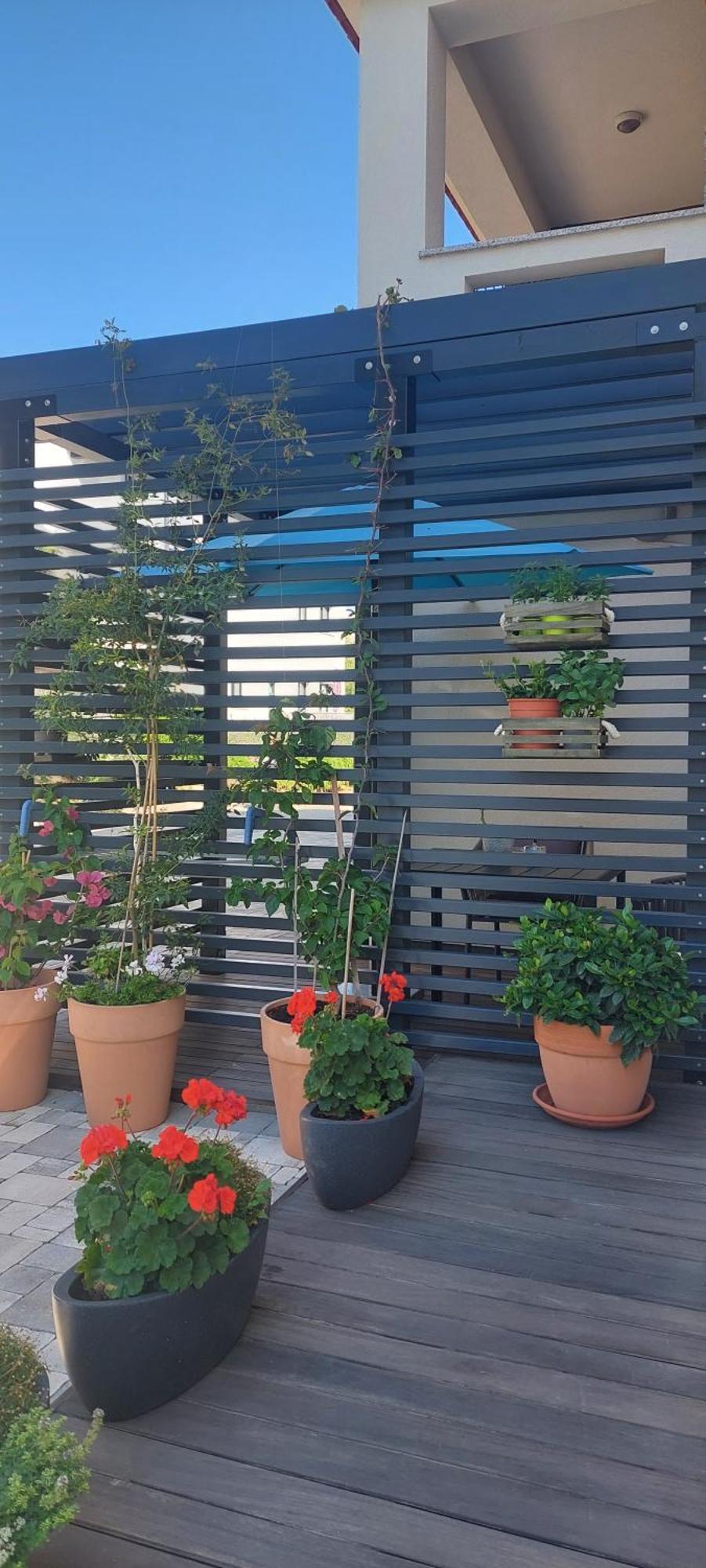 באסקה Apartments Matea מראה חיצוני תמונה